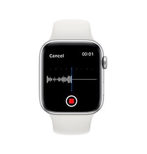 One Touch Play on apple watch